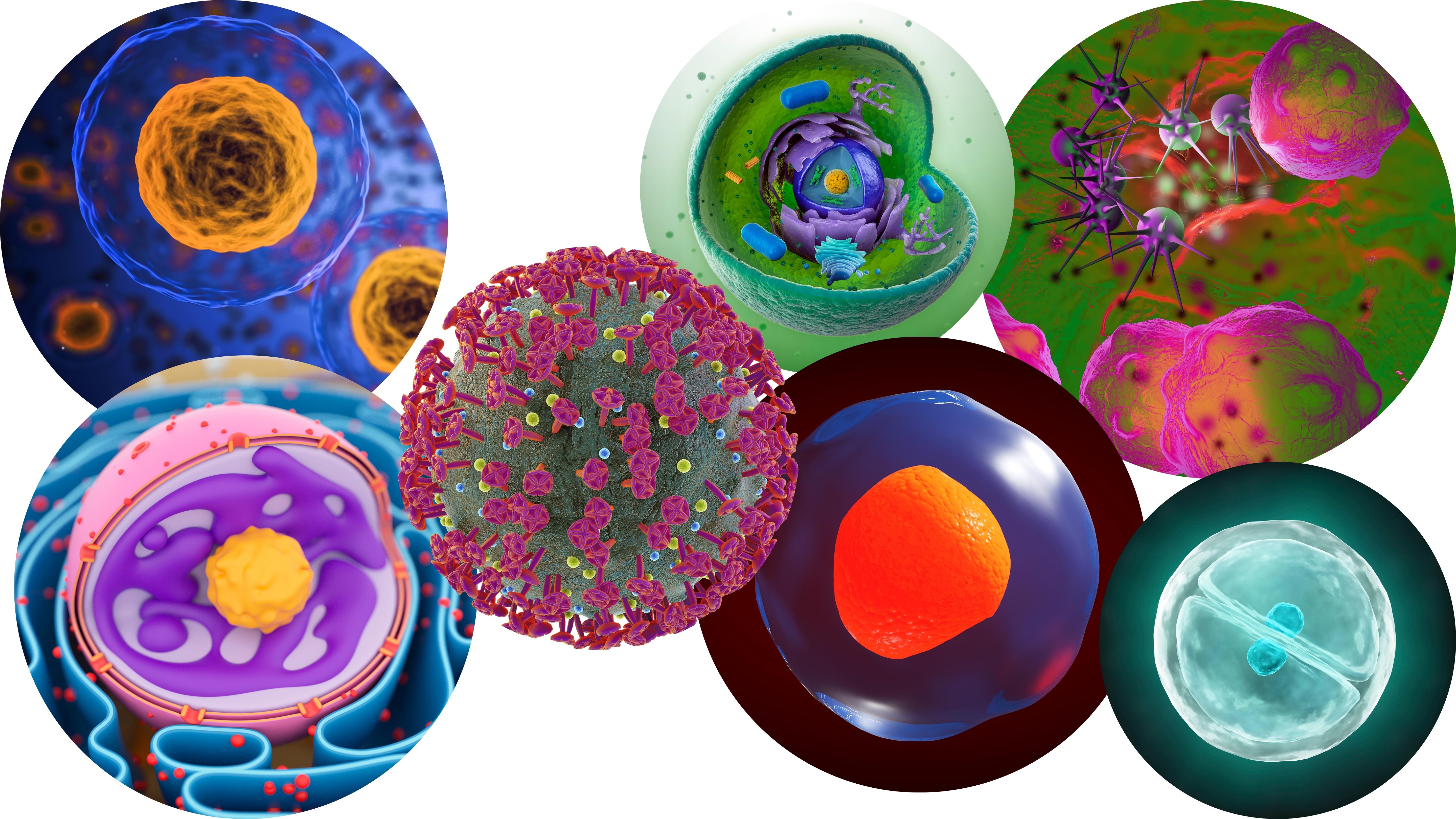 Course: Biology | NextGenU.org