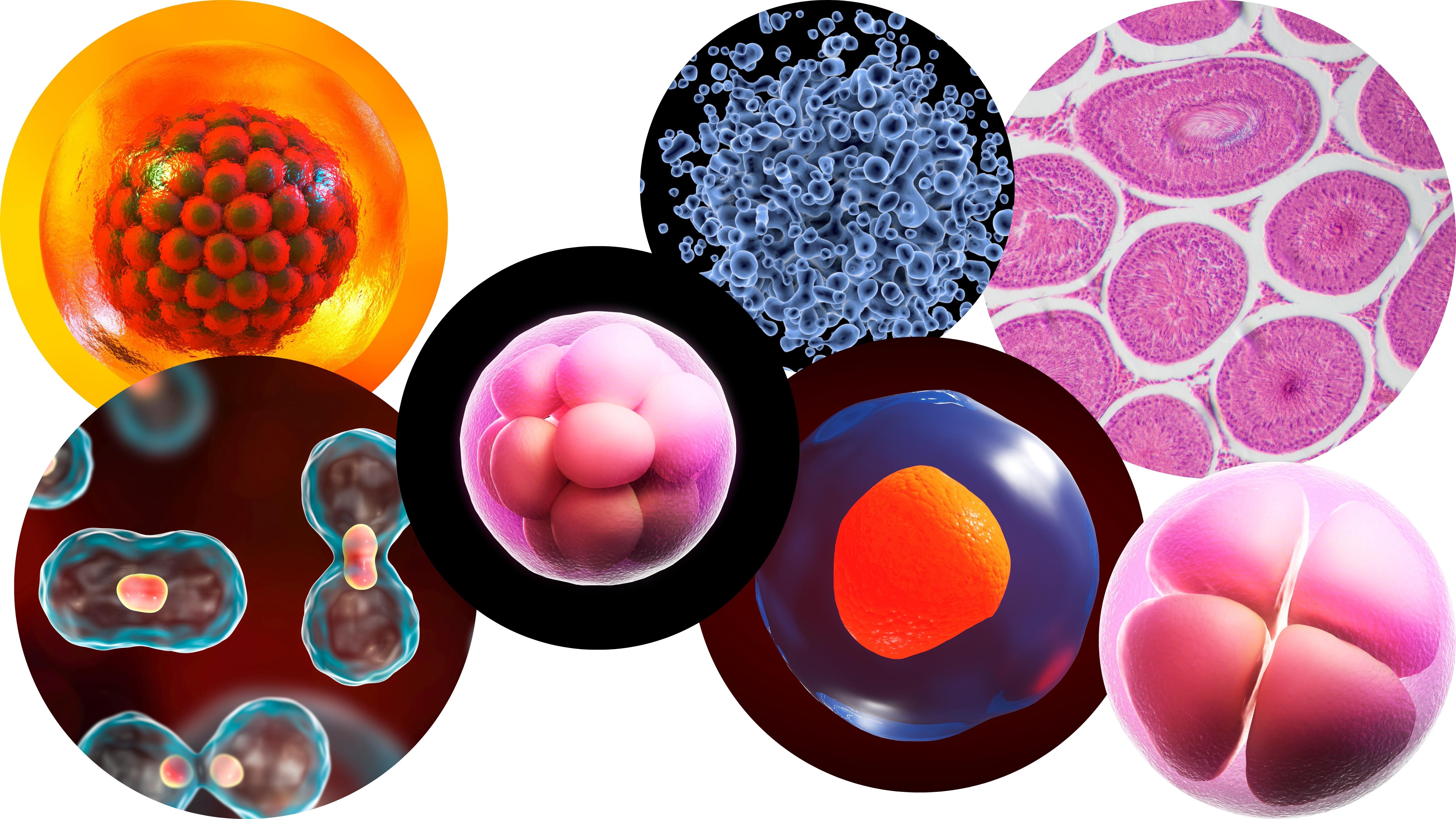 Course: Biology | NextGenU.org
