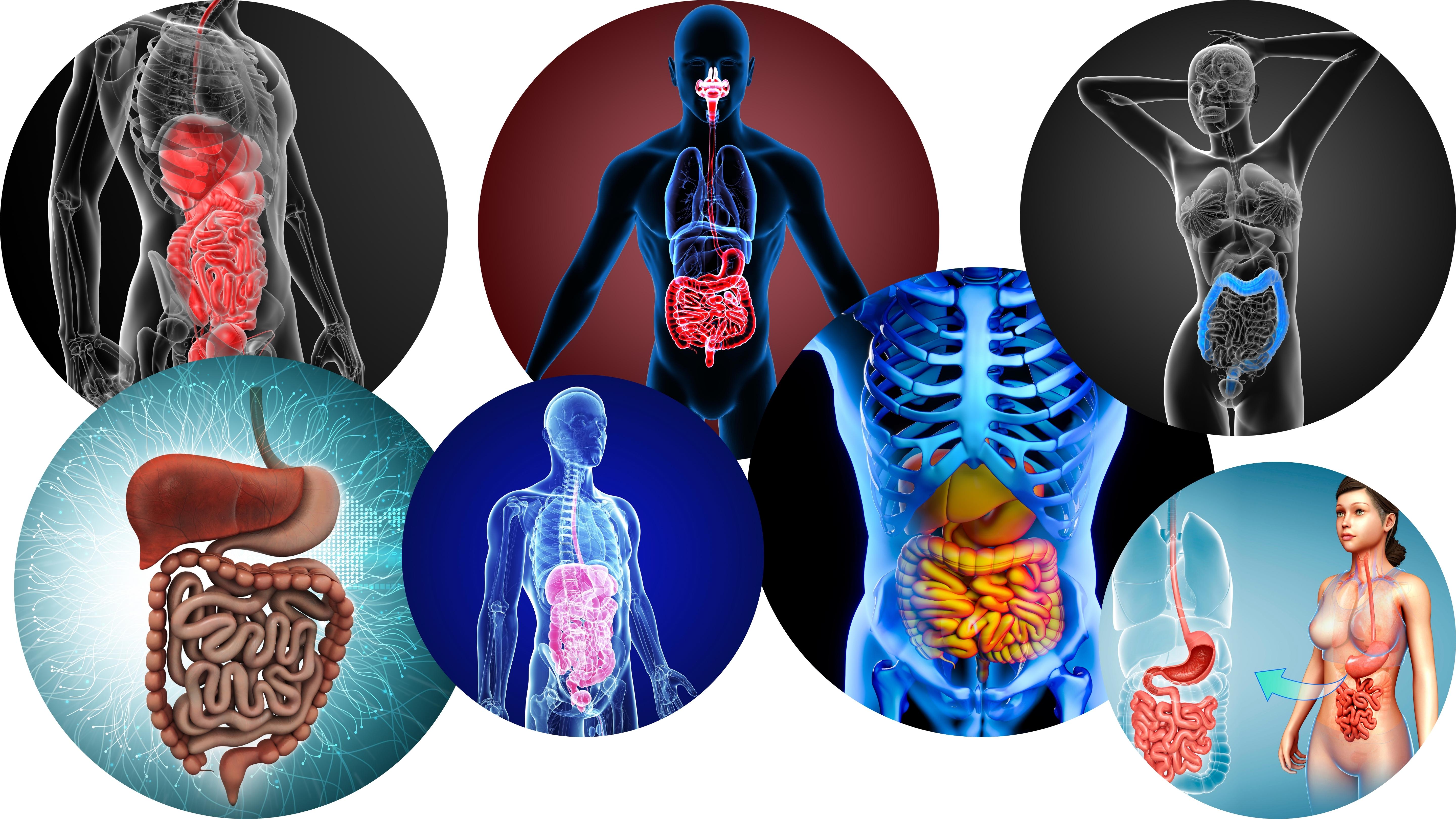 Course: Biology