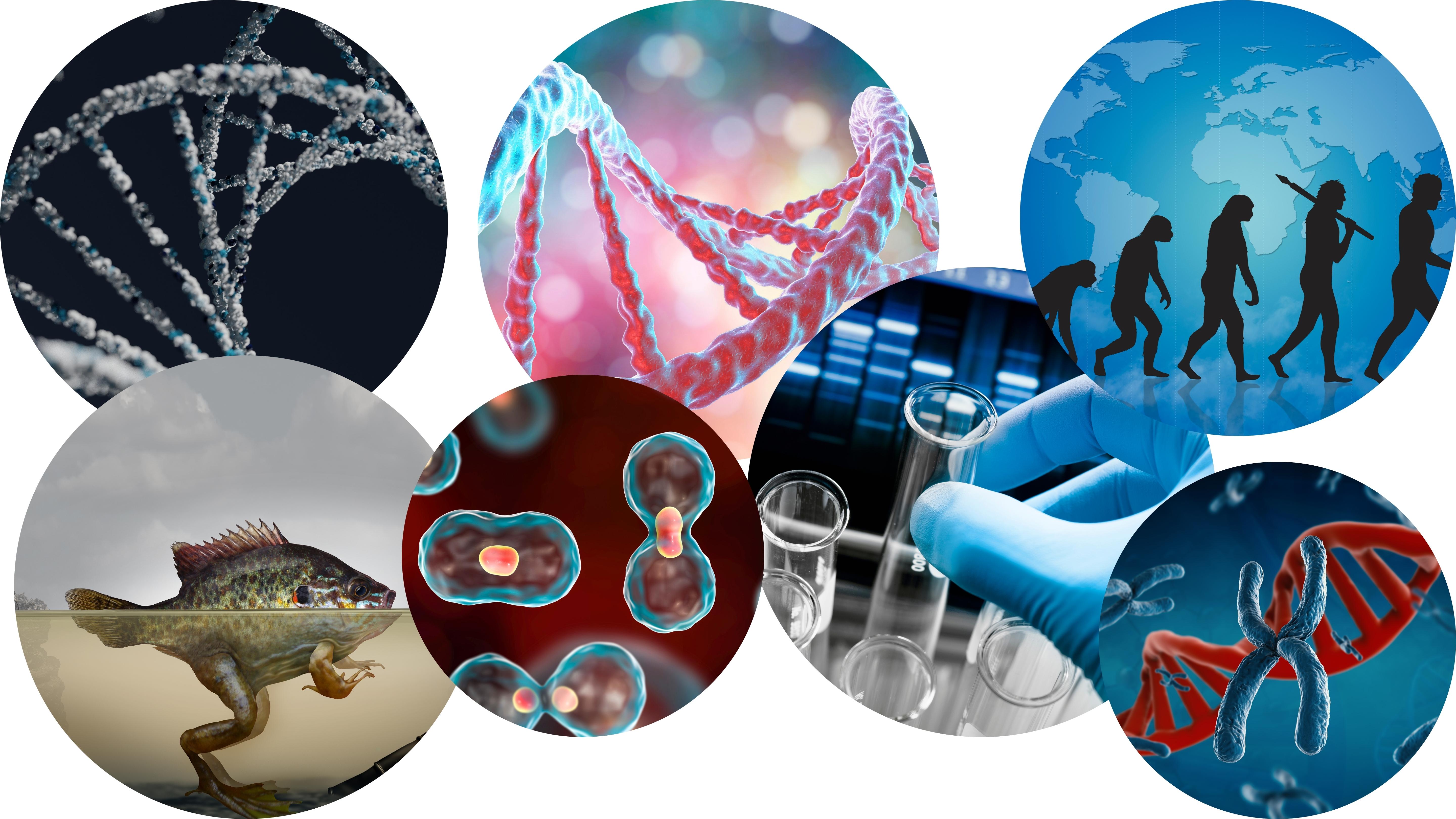 Course: Biology