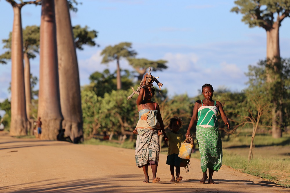 Course Image Climate Change and Public Health